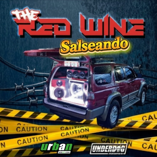 Salseando con el RedWine